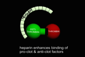 Heparin action in Pulmonary Embolism