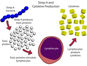 cytokines in streptococcus A infection